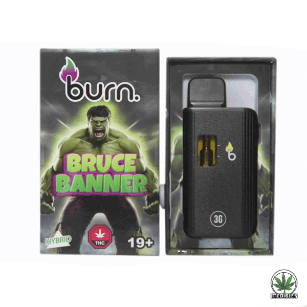 Burn 3g THC Disposable Vape