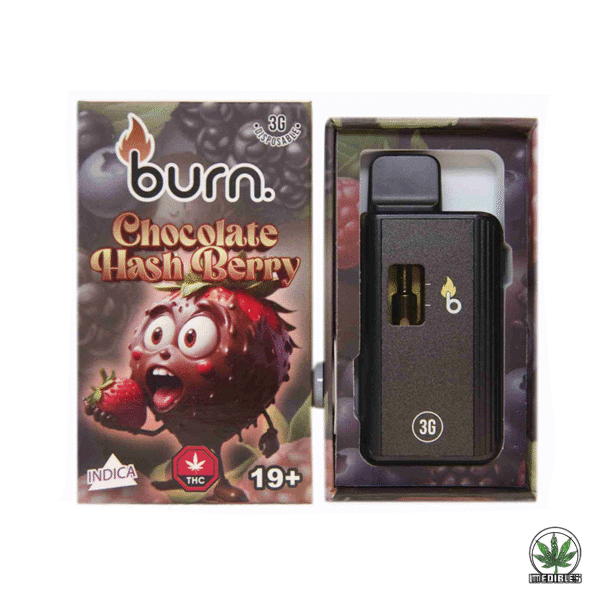 Burn 3g THC Disposable Vape