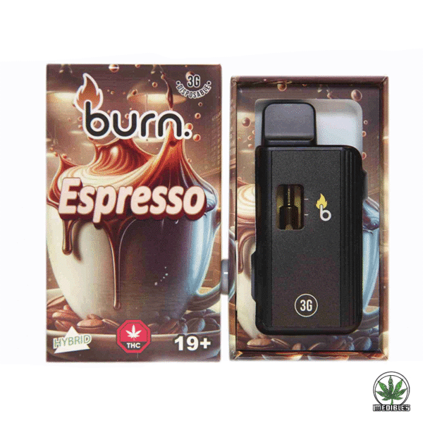 Burn 3g THC Disposable Vape