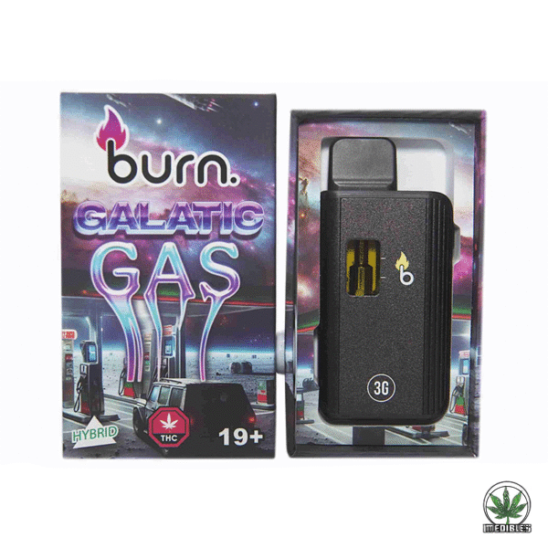 Burn 3g THC Disposable Vape