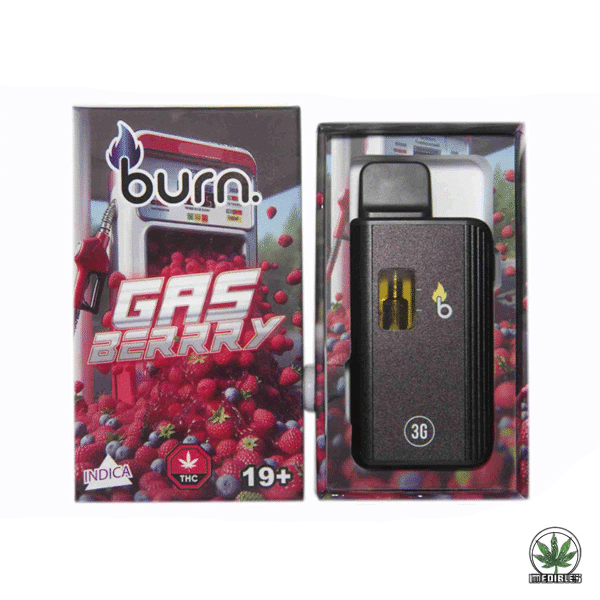 Burn 3g THC Disposable Vape