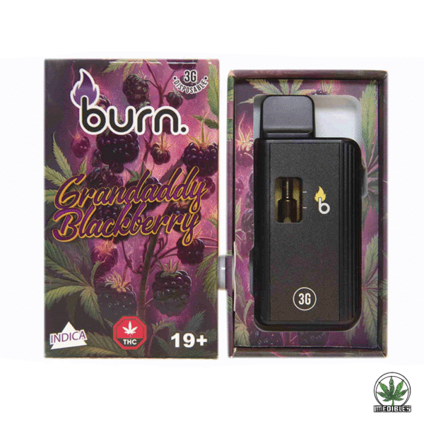 Burn 3g THC Disposable Vape