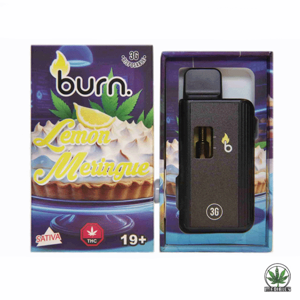 Burn 3g THC Disposable Vape