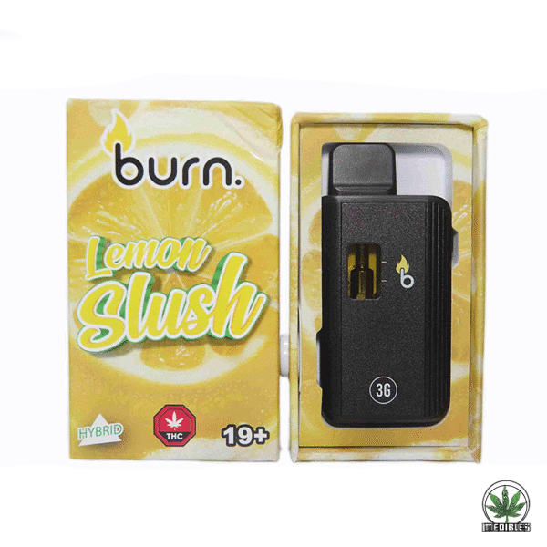 Burn 3g THC Disposable Vape