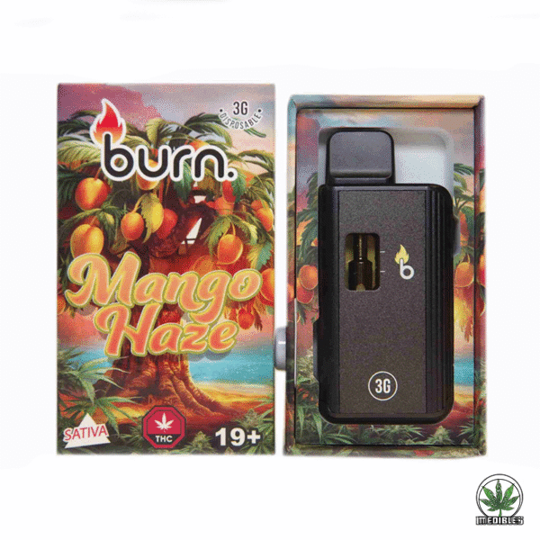 Burn 3g THC Disposable Vape
