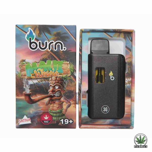 Burn 3g THC Disposable Vape