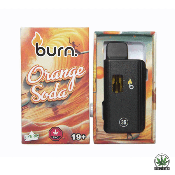 Burn 3g THC Disposable Vape