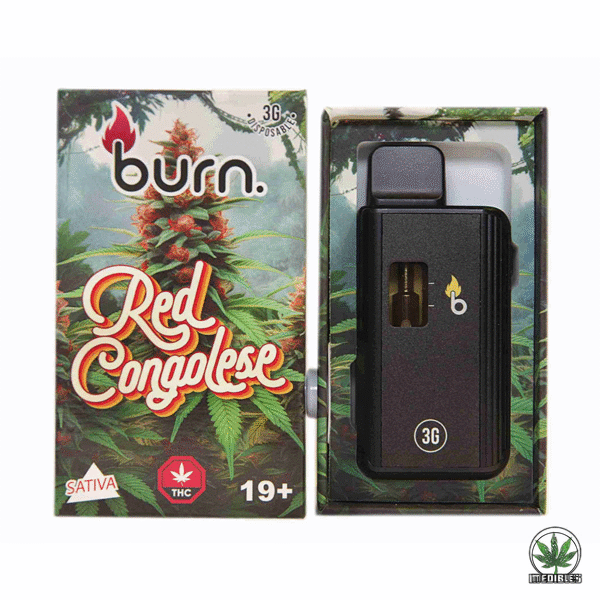 Burn 3g THC Disposable Vape