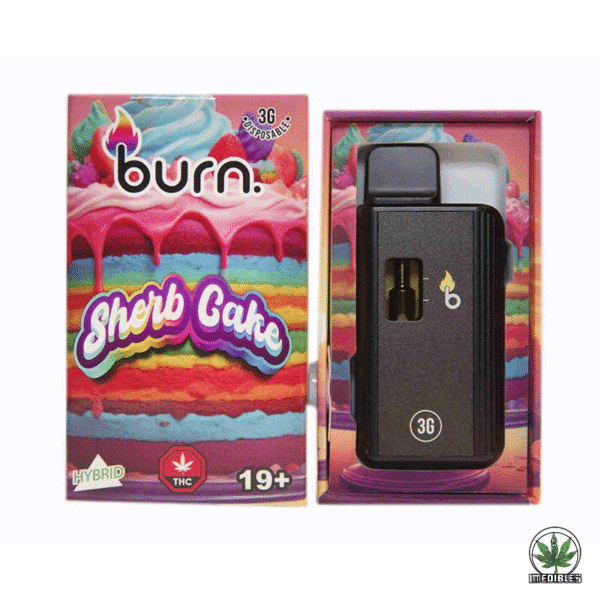 Burn 3g THC Disposable Vape