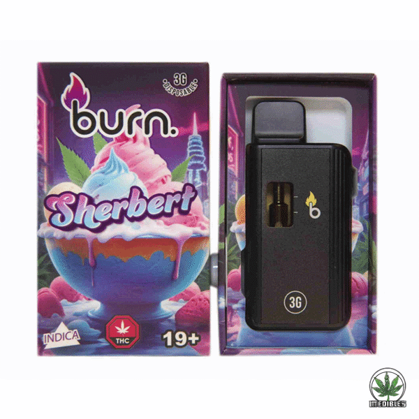 Burn 3g THC Disposable Vape