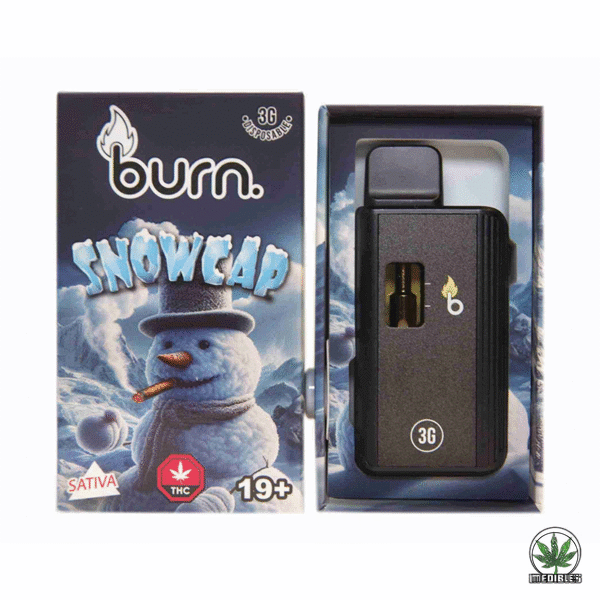 Burn 3g THC Disposable Vape