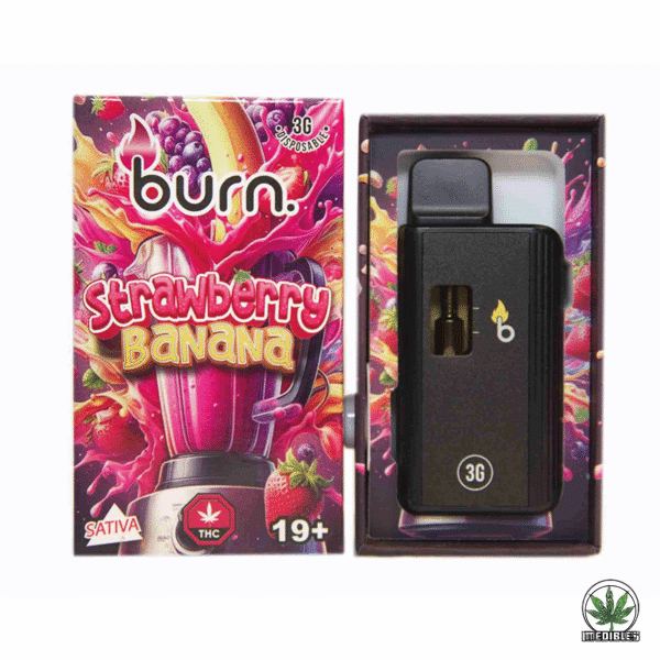 Burn 3g THC Disposable Vape