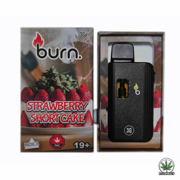 Burn 3g THC Disposable Vape