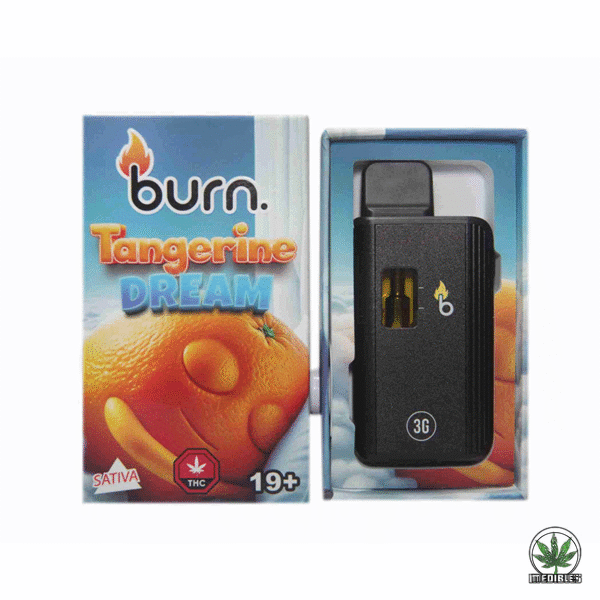 Burn 3g THC Disposable Vape