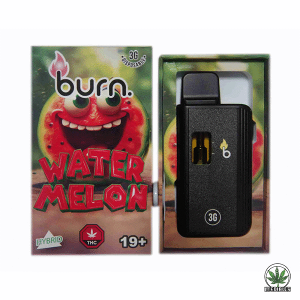 Burn 3g THC Disposable Vape