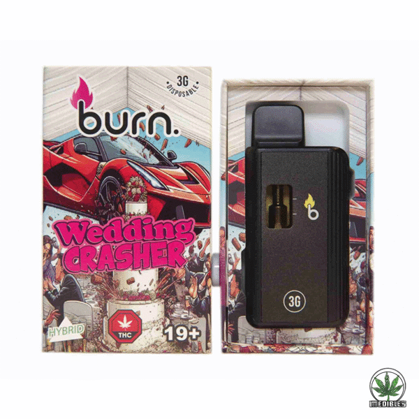 Burn 3g THC Disposable Vape
