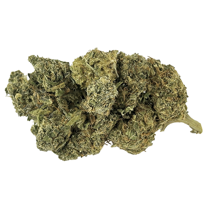 Mohawk Medibles Blue Comatose