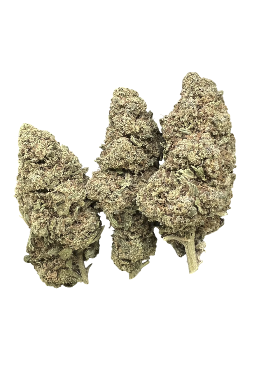 Lemon Haze Flower