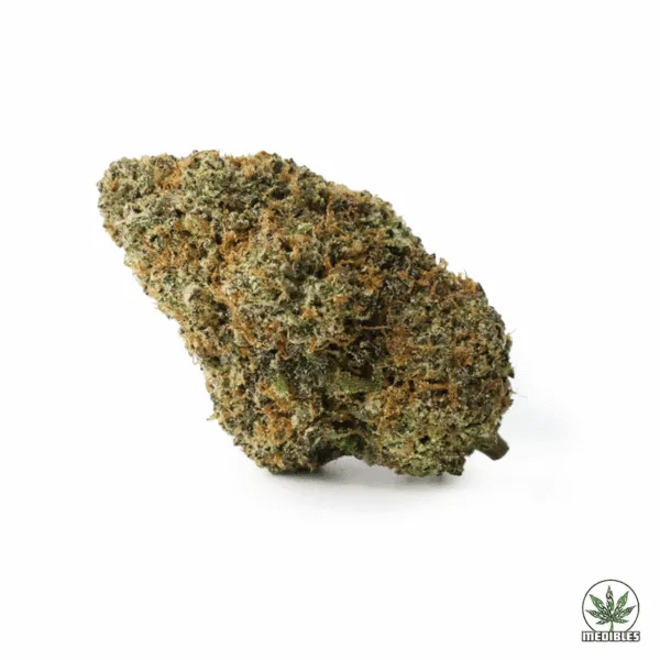 Amnesia Haze $5/Gram Special