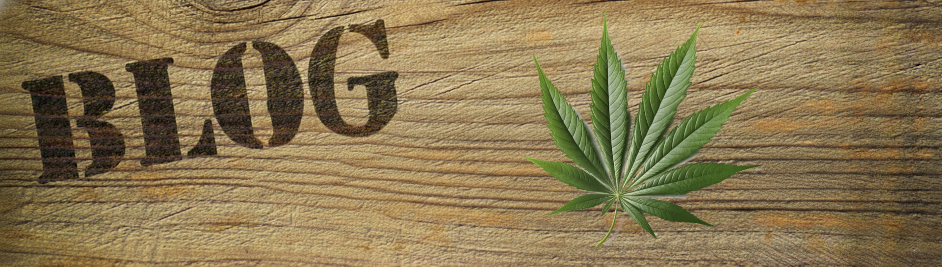 Mohawk Medibles Blog