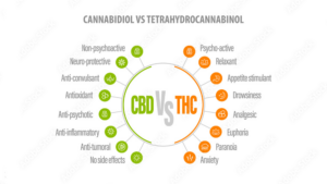 CBD VS THC