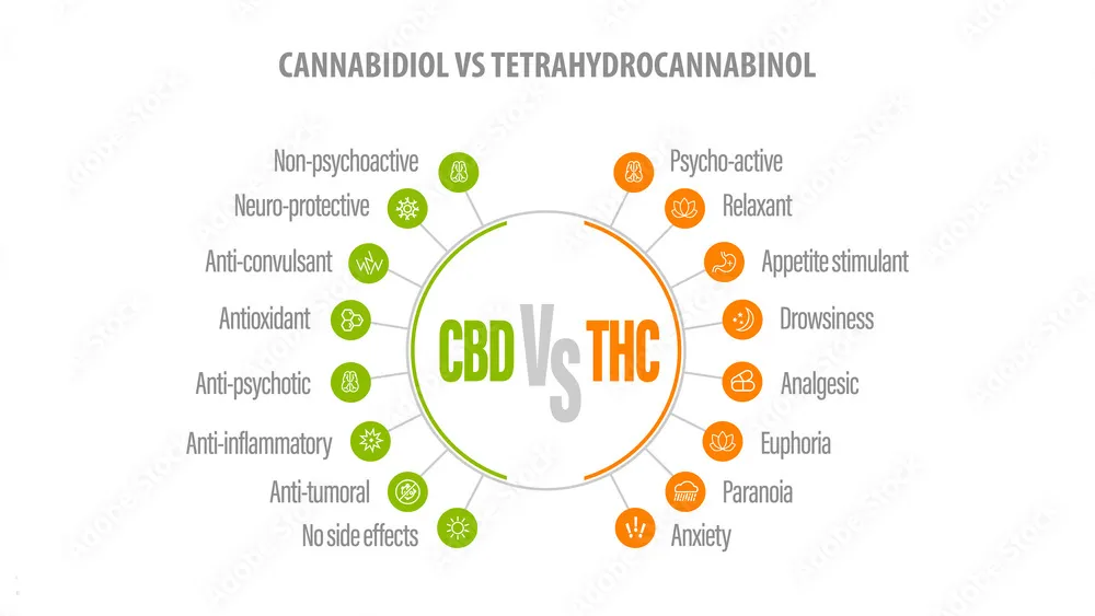 CBD VS THC