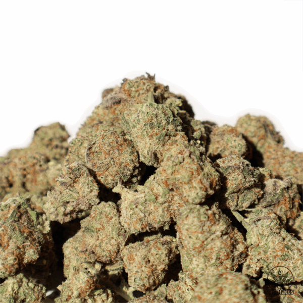 Purple Mac $6/Gram Special