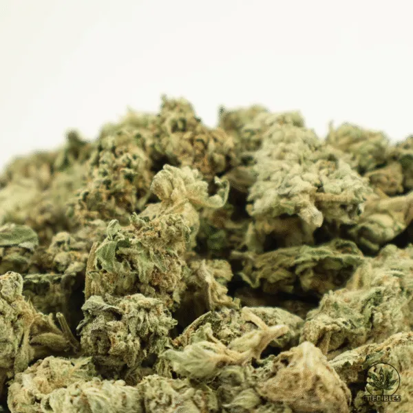 Slurricane $40/oz or $100/3oz