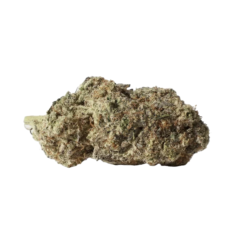 Candy Cane Flower $5G