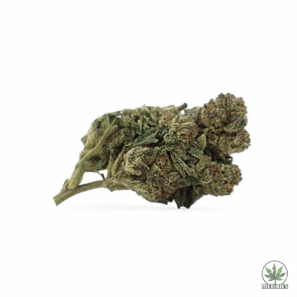 Purple Gangster $40/oz or $100/3oz